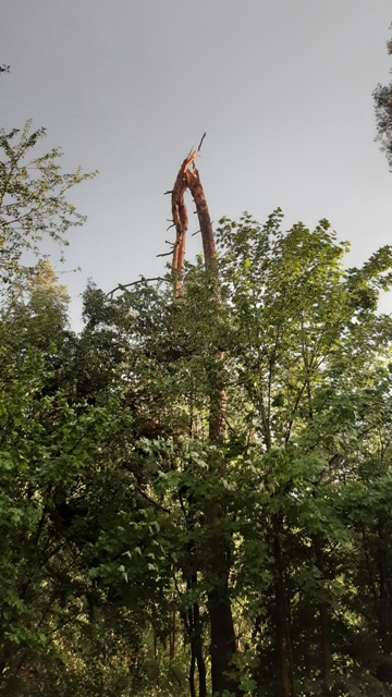 20220520_195757_resized groß.jpg